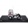 IXO White Freightliner COE WFT 6342 1976 - Bright Silver Metallic with Las Vegas Paint Scheme