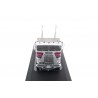 IXO White Freightliner COE WFT 6342 1976 - Bright Silver Metallic with Las Vegas Paint Scheme