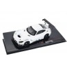 IXO Mercedes-AMG GT3 Race Specs Plain Body C190 2016 - Polar White