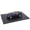 Minichamps BMW Z4 Roadster sDrive35i E89 2009
