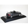 Minichamps Audi TT Roadster 8J 2006 - Dolphin Gray Metallic